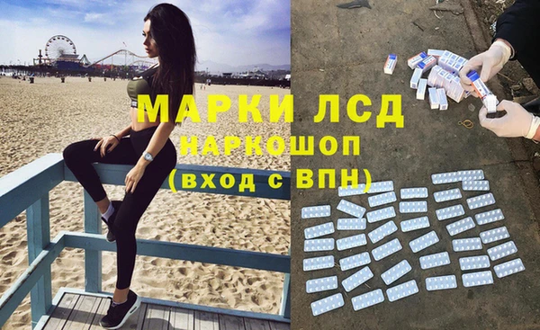 спайс Покачи
