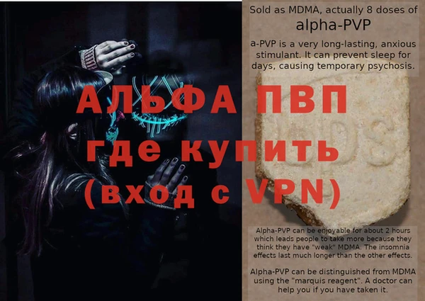 спайс Покачи